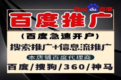 SEO百度推广策略：成功案例解析